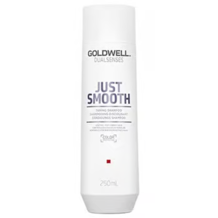 Goldwell Dualsenses Just Smooth Shampoo 250ml